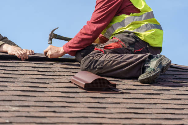 Best Roof Gutter Cleaning  in Thiensville, WI