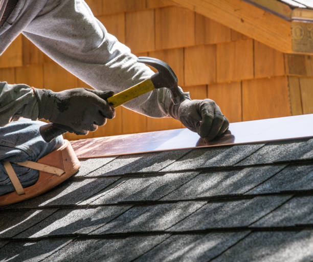 Best Roof Gutter Cleaning  in Thiensville, WI